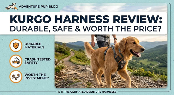 Kurgo Harness Review: Durable, Safe & Worth the Price?