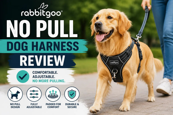 Rabbitgoo No Pull Dog Harness Review