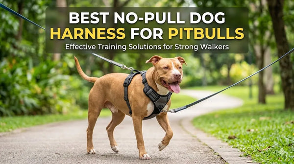 The Best No Pull Dog Harness for Pitbulls: Stop the Leash Tug Today