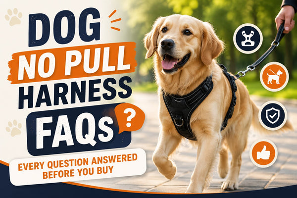 Dog No Pull Harness FAQs: Every Question Answered Before You Buy