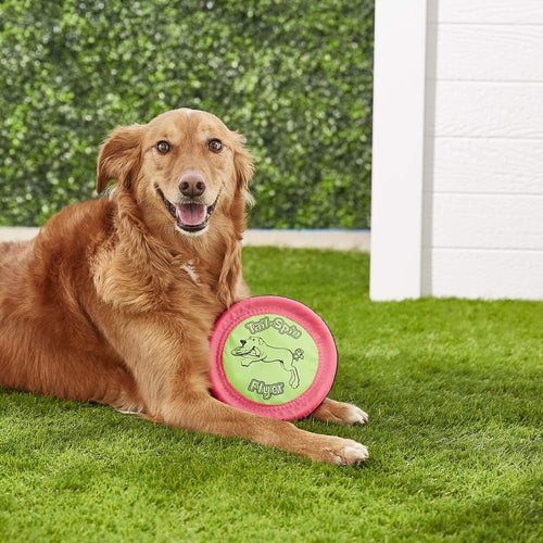 Booda Tail Spin Flyer – Lightweight Fabric Dog Frisbee for Fetch, Water Play & Interactive