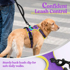 Dog No Pull Harness Adjustable Soft Padded