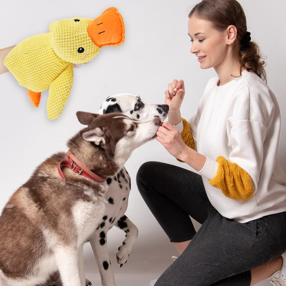 Duck Dog Toy – Durable Squeaky Plush Toy 