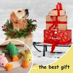 Duck Dog Toy – Durable Squeaky Plush Toy for Aggressive