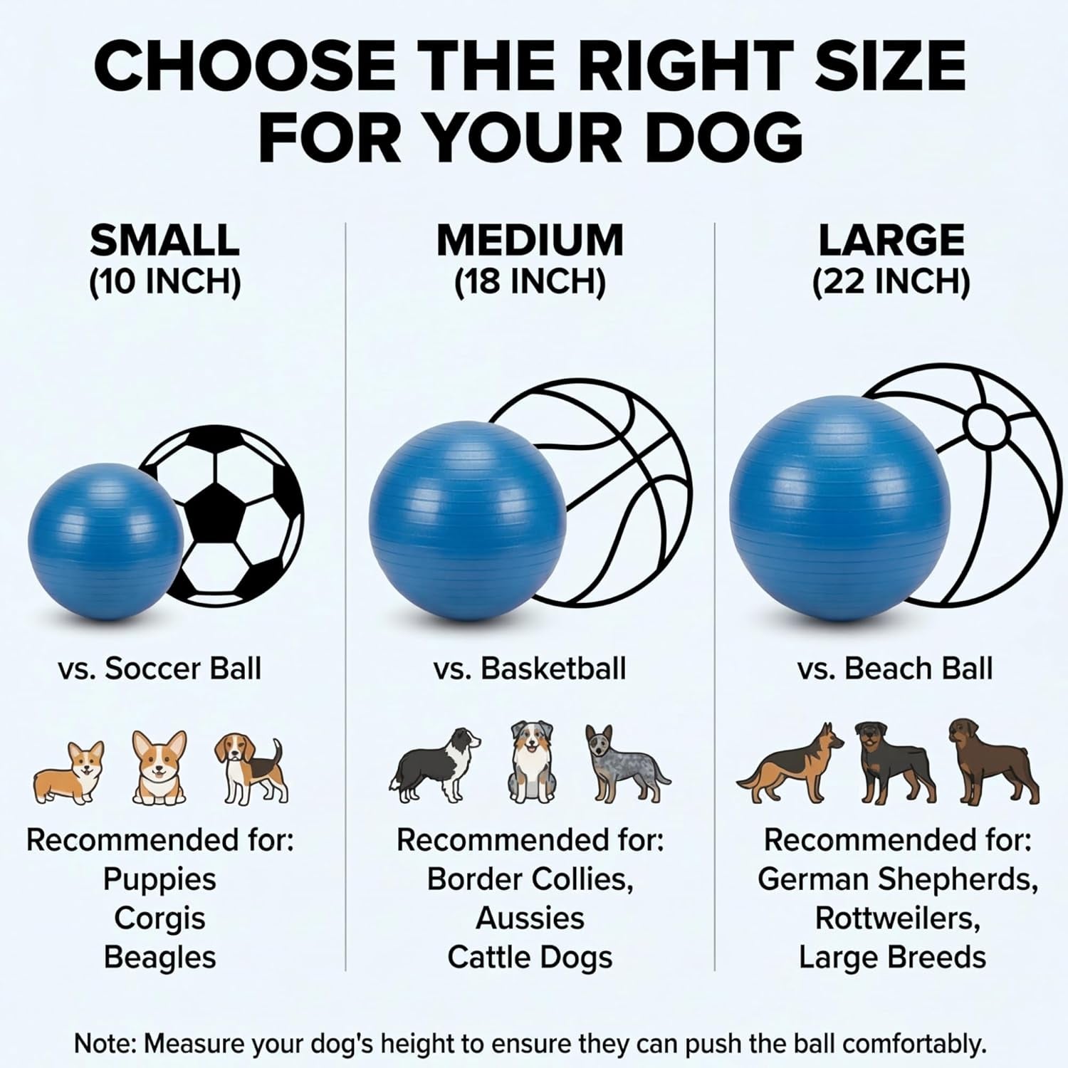 Herding Ball for Dogs – Durable