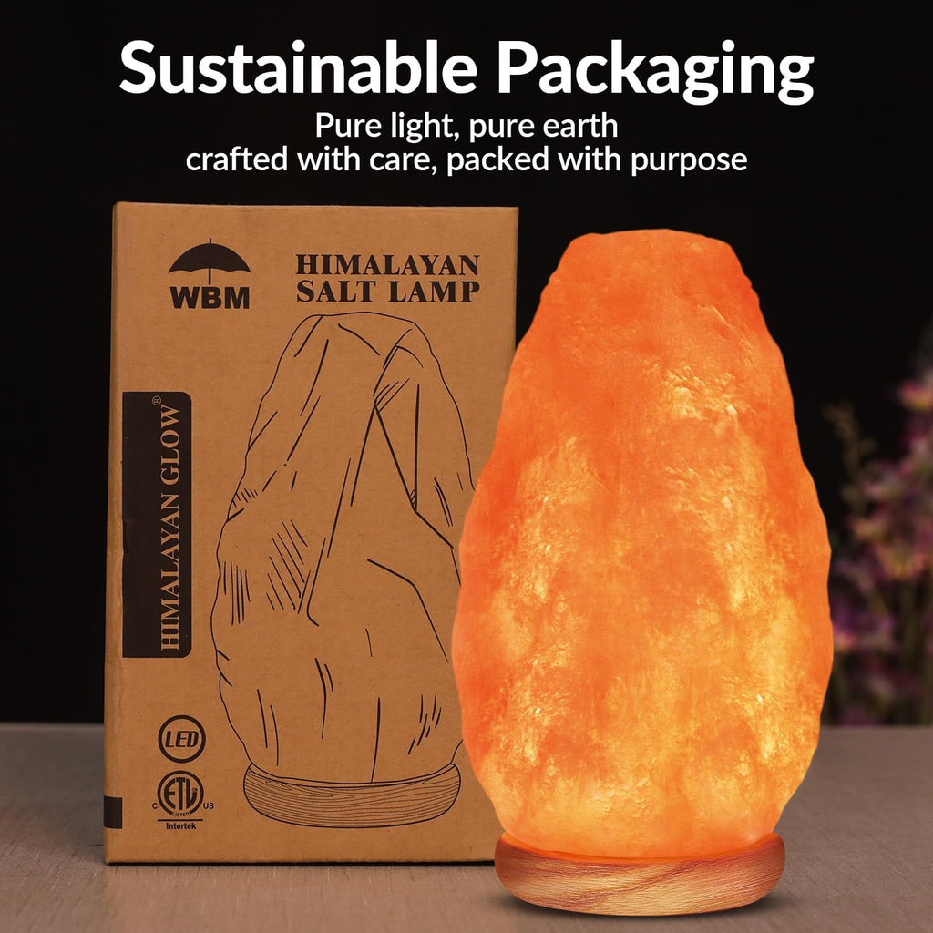 Himalayan Pink Salt Lamp – USB Natural Crystal
