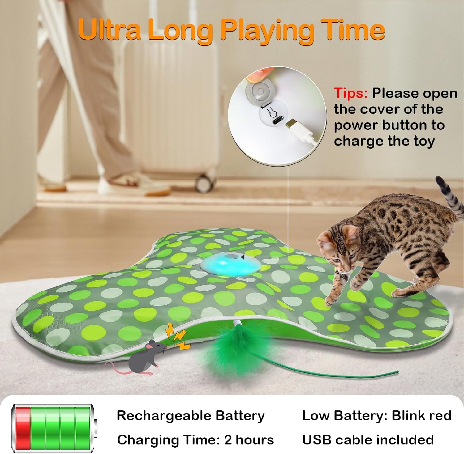 Interactive Cat Toys for Indoor Cats – Rechargeable Moving Feather & Real